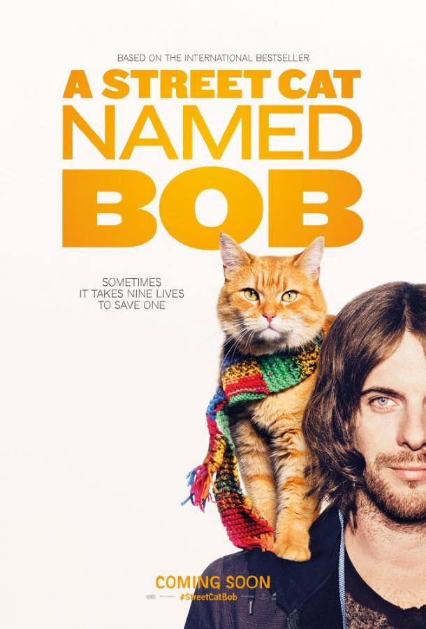 Фильм Уличный кот по кличке Боб (2016) смотреть онлайн в хорошем качестве